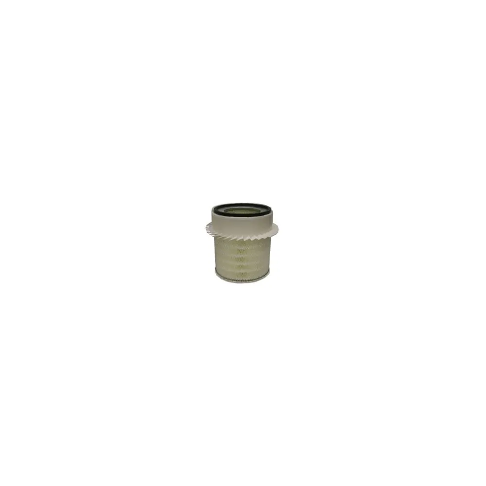 Filtro aria Donaldson P181000